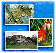 Belize, Belize rainforests, Belize history, Belize Maya