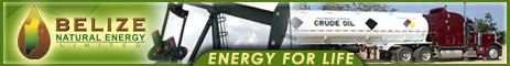 Belize Natural Energy Ltd.